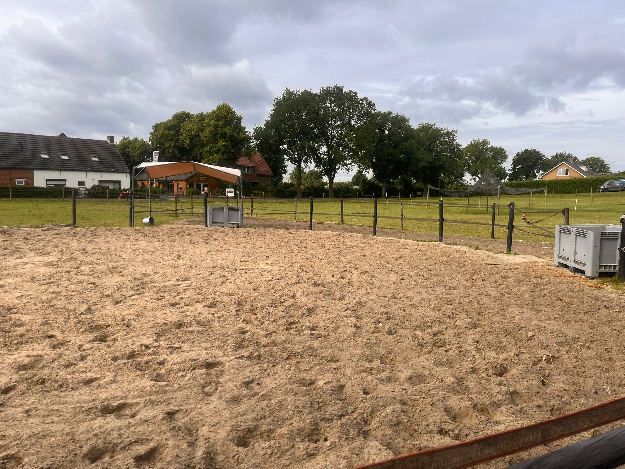 Paard in stal