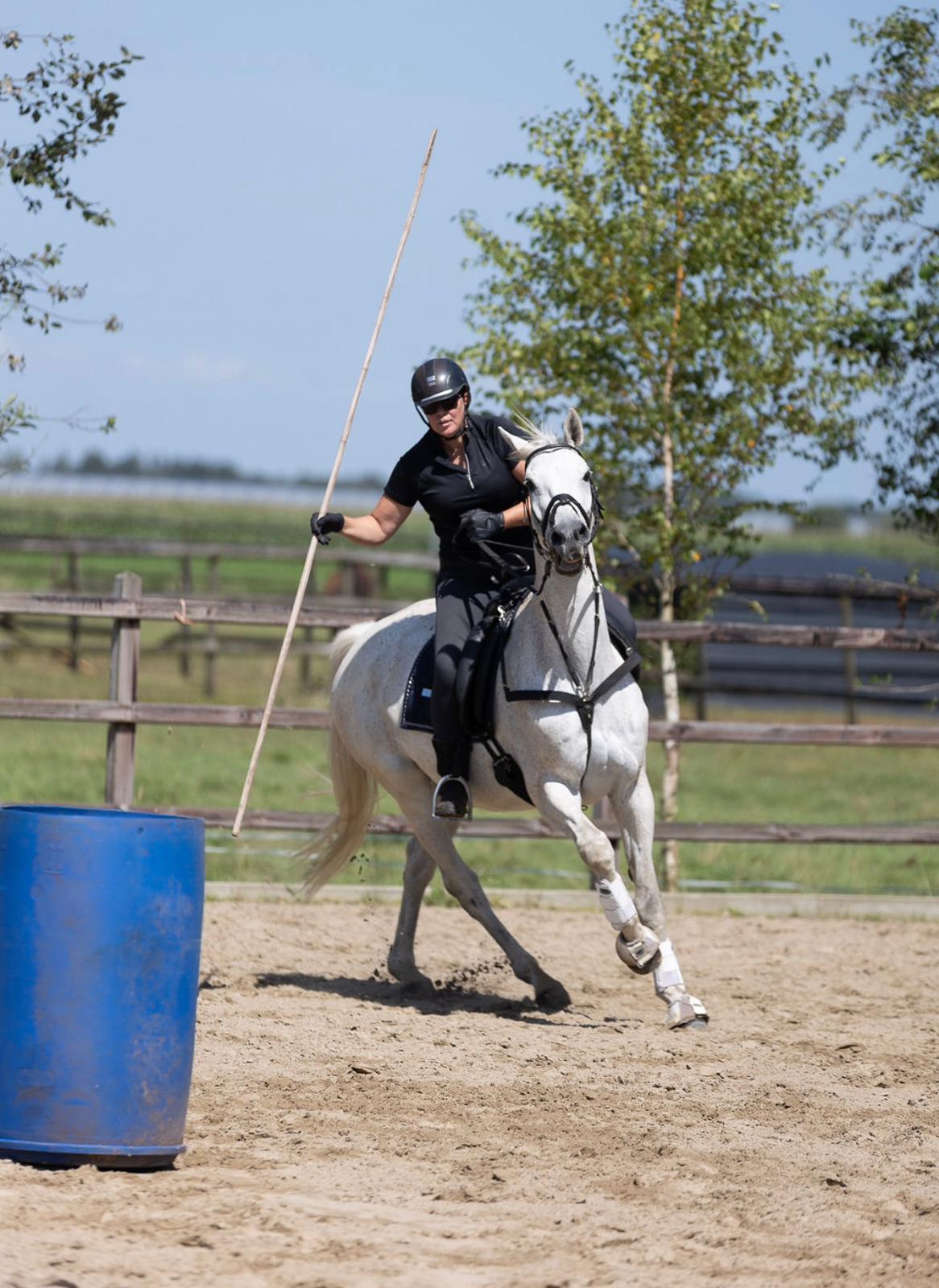 Working Equitation actie foto